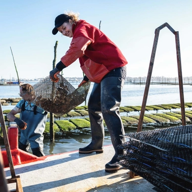 Bottes De Pluie Le Chameau Women Oceane Cuissardes Noir 5 Bottes De Pluie Le Chameau Women Oceane Cuissardes Noir - Image 5