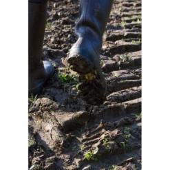 Bottes De Pluie Le Chameau Men Cérès Jersey Lined Vert Chameau -Promos Le Chameau Magasin 7 1902 7100 7