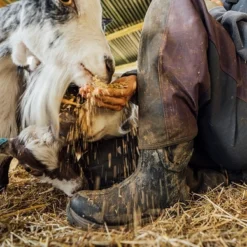 Bottes De Neige Muck Boot Women Arctic Sport II Tall Black Black -Promos Le Chameau Magasin AS2T 000ArcticSportIIgoat